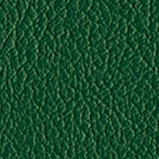 エバーグリーン