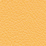 ゴールデンイエロー